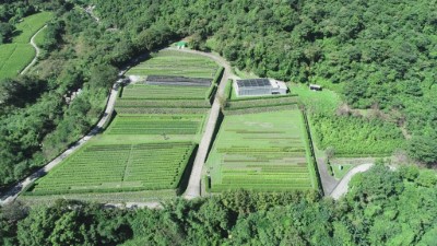 林務局臺東林區管理處之祕境-發現龍泉苗圃之美