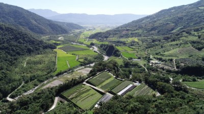 林務局臺東林區管理處之祕境-發現龍泉苗圃之美