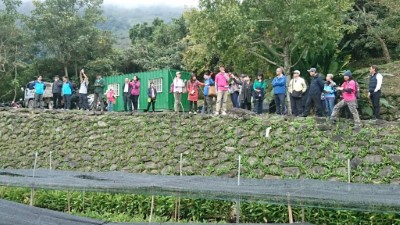 林務局臺東林區管理處之祕境-發現龍泉苗圃之美