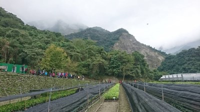 林務局臺東林區管理處之祕境-發現龍泉苗圃之美