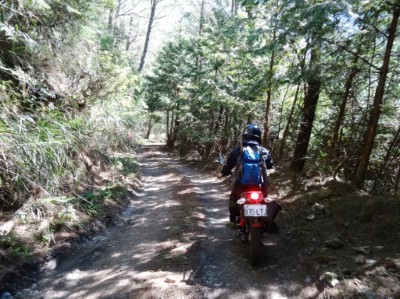 森林護管員在崎嶇林道內的巡視實況