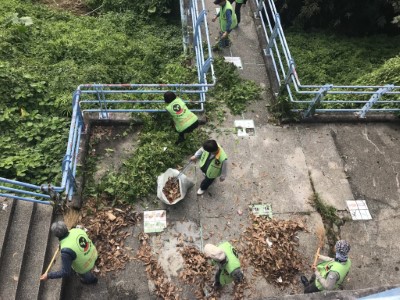 108年清淨家園