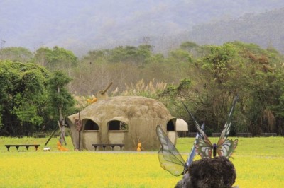 縱谷面積最大的迎春花海~「大農大富平地森林園區」