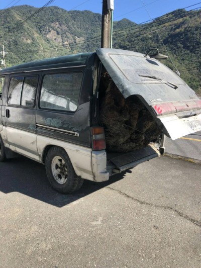 山區聯防，林、警合力逮「賊鼠」