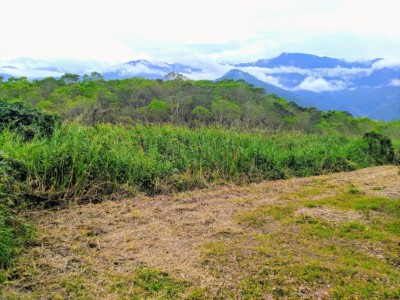 大農大富平地森林園區-1.jpg