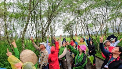 大農大富平地森林園區森林療癒體驗-五感體驗