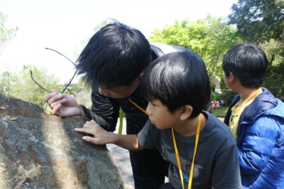 圖1、探訪園區內化石資源，認識古生物的生活痕跡。(由東眼山自然教育中心提供)