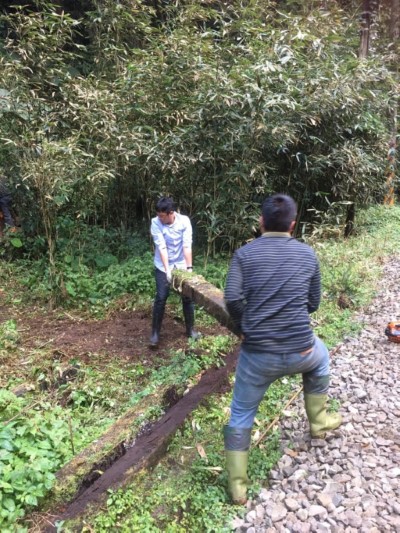 十字路社區居民整理木馬道情形