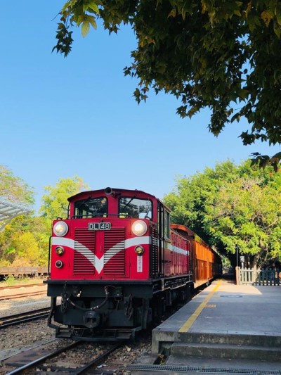 參加小樹苗的旅行，可搭乘檜木列車至竹崎站