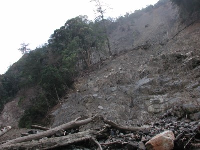 圖5、河川上游林地的自然崩塌，常導致林木傾倒滑落，漂送到下游成為漂流木