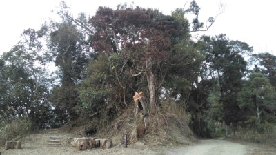 圖2：請遊客步行經藤枝林下步道（圖左，約位於聯外道路18.3K處）入園。