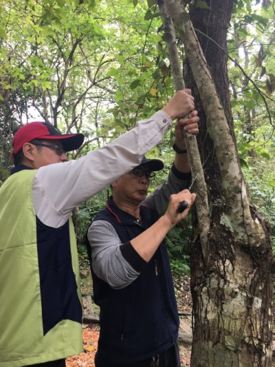 民眾廖先生修枝初體驗