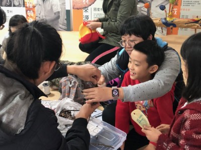 親子開心建造綠能mini屋