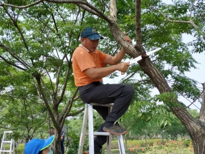 學員動手修剪林木