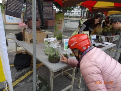 陽光透明森林永續挖栽挖栽
