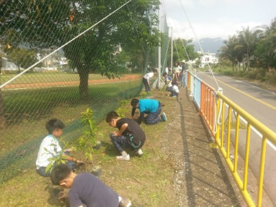 濱海校園來種樹，營造鳥類新樂園