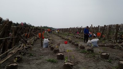 水寶盆提高海岸種樹成活率