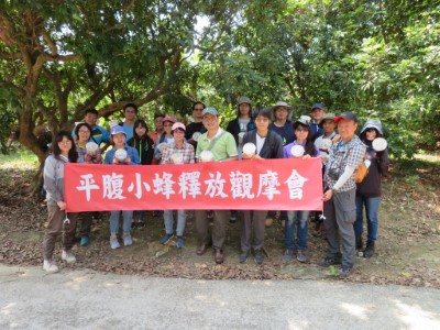 平腹小蜂釋放觀摩會