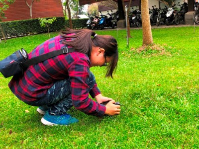 參與民眾小心翼翼的欣賞並拍攝綬草