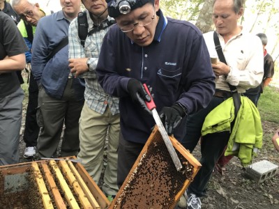 花蓮處-保安林林下養蜂