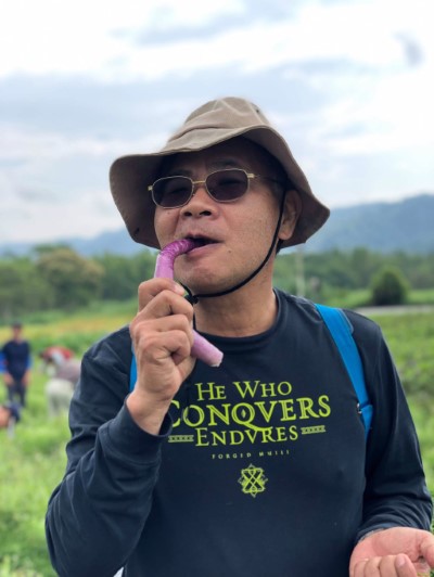 可食地景區以友善方式種植之茄子都可以直接生吃。