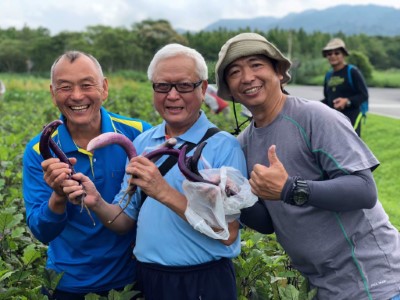 志工們在平森園區開心採摘茄子笑開懷