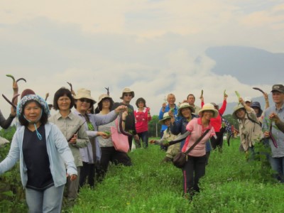 花蓮處社區伙伴及志工們在大農大富平森園區之可食地景區享受拔菜樂趣