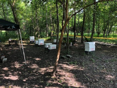 南華林業園區-林下養蜂