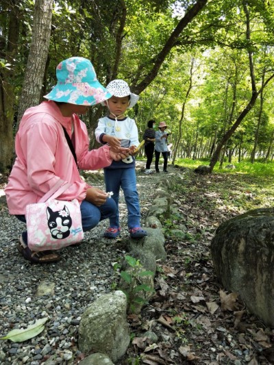 手牽手踏入森林