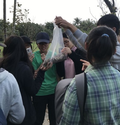 民眾一同清點移除數量