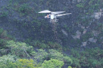 林務局利用無人機航空植生作業情形