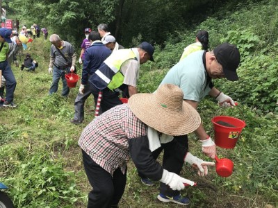 家園附近的保安林大家一起動手來整理