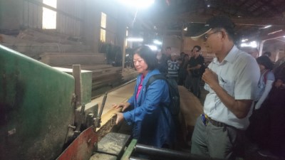 推廣國產材-臺東林管處辦理製材廠觀摩及木材加工課程