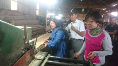 推廣國產材-臺東林管處辦理製材廠觀摩及木材加工課程