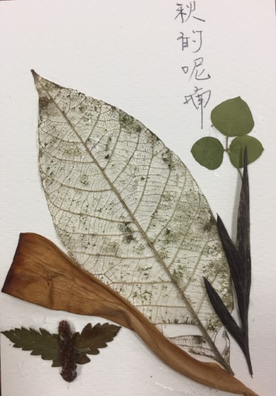 手做明信片作品-秋的呢喃