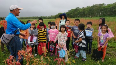 大農大富平地森林園區於可食地景舉辦食農教育活動，小朋友認識食物來源