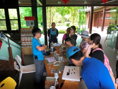 參與民眾仔細觀察獨角仙