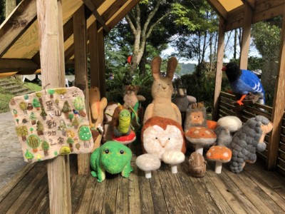 圖一、2019年活動照片(1)。