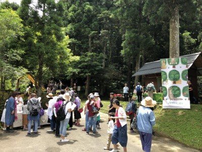 圖二、2019年活動照片