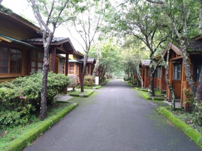 大雪山住宿區木屋