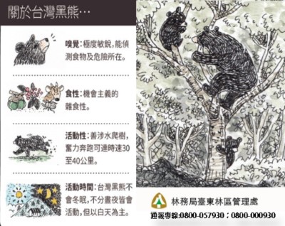 108bear
