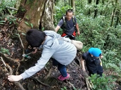 參與檢察官至盜伐現場勘查(新竹林區管理處提供)