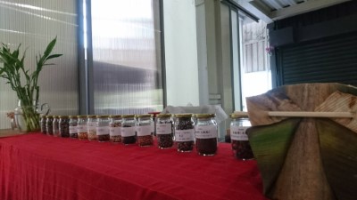 分享會現場展示多達20種阿美族傳統野菜種子