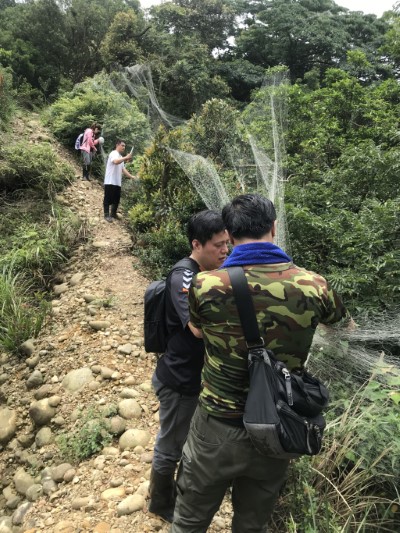林務局與保七第五大隊員警一同拆網(新竹林區管理處劉玉琳)