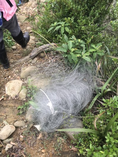 鳥網移除(新竹林區管理處劉玉琳)