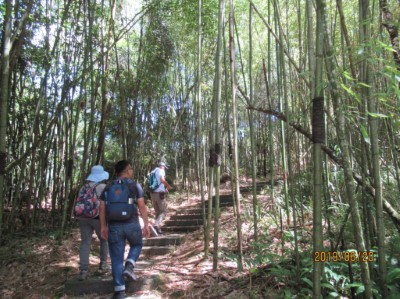 在林道內感受森林的氛圍