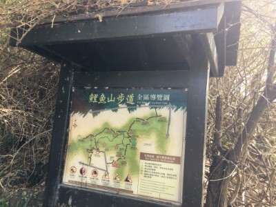 鯉魚山步道進行修繕工作，部分路段暫停開放