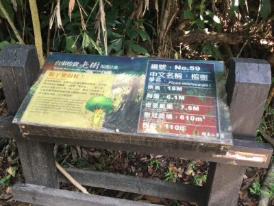 鯉魚山步道進行修繕工作，部分路段暫停開放