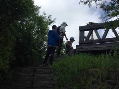 鯉魚山步道進行修繕工作，部分路段暫停開放