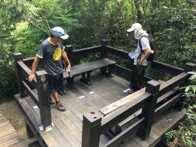 鯉魚山步道進行修繕工作，部分路段暫停開放